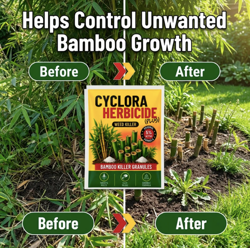 Cyclosinone Herbicide (Buy 1 Get 1 Free)