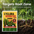 Cyclosinone Herbicide (Buy 1 Get 1 Free)
